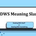 DWS Meaning Slang
