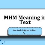 MHM Meaning in Text