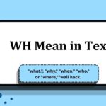 _WH Mean in Text