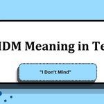 IDM Meaning in Text