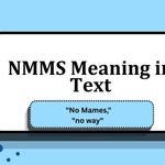 NMMS Meaning in Text