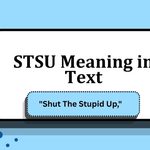 STSU Meaning in Text